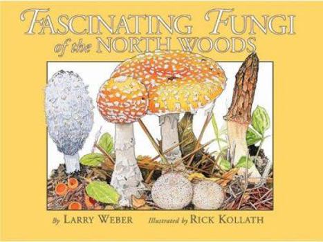 Paperback Fascinating Fungi of the North Woods Book