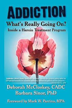 Paperback Addiction--What's Really Going On?: Inside a Heroin Treatment Program Book
