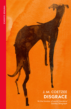 Paperback Vintage Classics Disgrace A BBC Radio 4 Good Read. Book