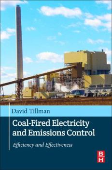 Paperback Coal-Fired Electricity and Emissions Control: Efficiency and Effectiveness Book