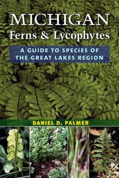 Paperback Michigan Ferns and Lycophytes: A Guide to Species of the Great Lakes Region Book