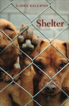 Paperback Shelter Book