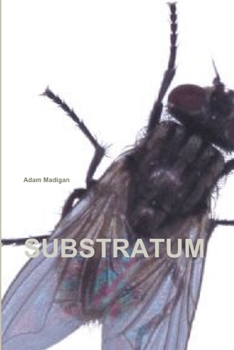 Paperback Substratum Book