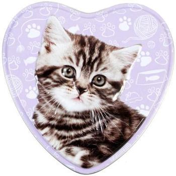 Paperback Kitten Activity Tin Book