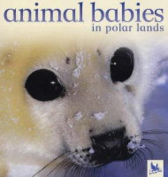 Hardcover Animal Babies in Polar Lands Book