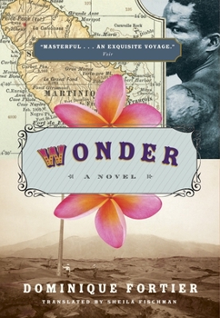 Paperback Wonder Book