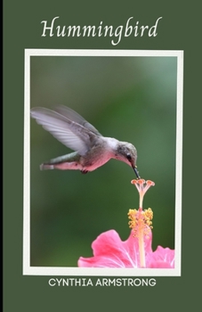 Hummingbird: An informative guide on hummingbirds