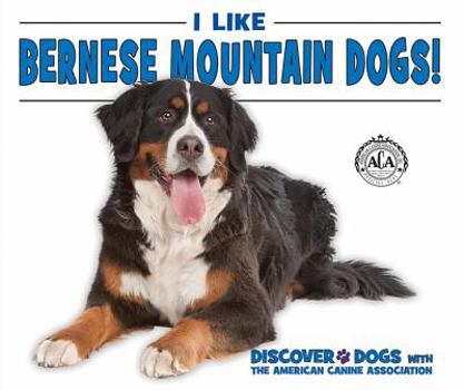 I Like Bernese Mountain Dogs! - Book  of the Discover Dogs with the American Canine Association