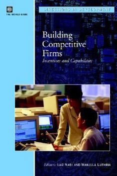 Paperback Building Competitive Firms: Incentives and Capabilities Book