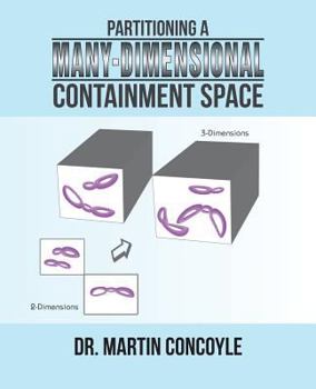 Paperback Partitioning a Many-Dimensional Containment Space Book