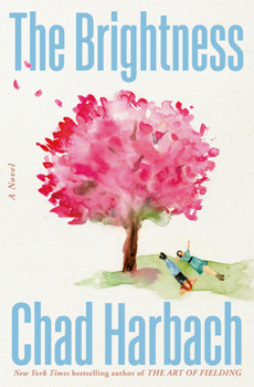 Hardcover The Brightness Book