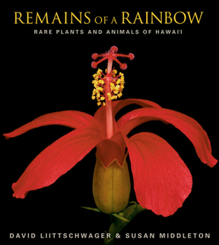 Paperback Remains of a Rainbow: Rare Plants and Animals of Hawaii Book