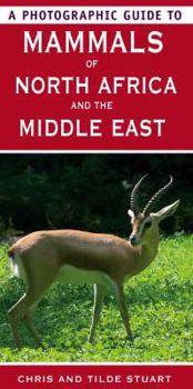 Paperback A Photographic Guide to Mammals of North Africa and the Middle East. Text and Photos by Chris and Mathilde Stuart Book