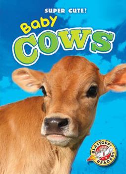 Baby Cows - Book  of the Super Cute!