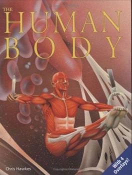 Hardcover The Human Body: Uncovering Science Book