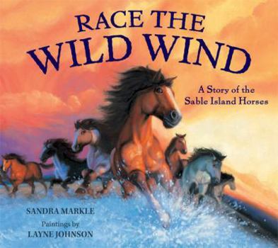 Hardcover Race the Wild Wind: A Story of the Sable Island Horses Book
