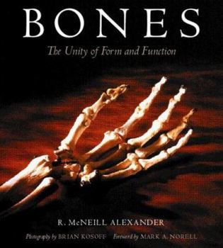 Paperback Bones: The Unity of Form and Function Book