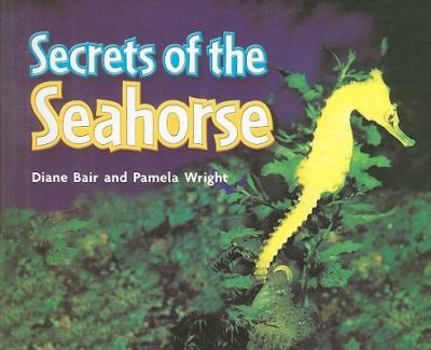 Paperback Secrets of the Seahorse Book