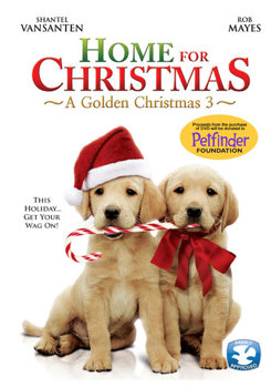 DVD A Golden Christmas 3: Home for Christmas Book