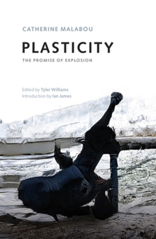 Paperback Plasticity: The Promise of Explosion Book