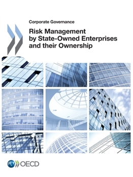 Paperback Risk Management by State-Owned Enterprises and their Ownership Book