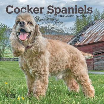 Calendar Cocker Spaniels 2020 Mini 7x7 Book