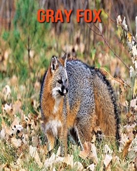 Paperback Gray Fox: Amazing Facts about Gray Fox Book