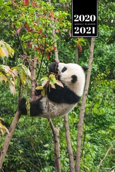 Panda Bear Week Planner Weekly Organizer Calendar 2020 / 2021 - Climb Up: Cute Wildlife Animal Bullet Journal Notebook Diary in 6” x 9” Inch Pocket Size