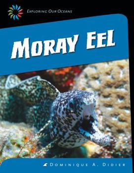 Moray Eel - Book  of the Exploring Our Oceans