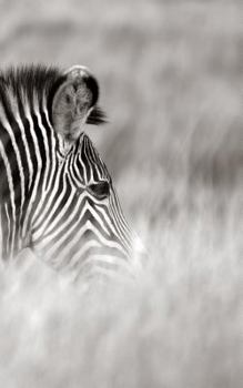 Paperback Alive! zebra stripes - Black and white - Photo Art Notebooks (5 x 8 series) Book