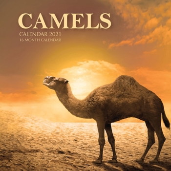 Paperback Camels Calendar 2021: 16 Month Calendar Book