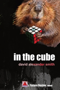 Paperback In the Cube Book