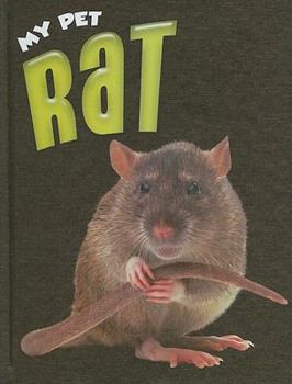 Library Binding Rat Book