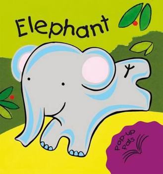 Hardcover Elephant. Fiona Hayes Book