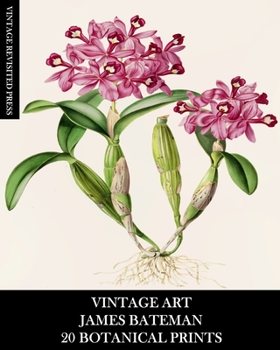 Paperback Vintage Art: James Bateman: 20 Botanical Prints: Orchid Ephemera for Framing, Home Decor, Collage and Decoupage Book