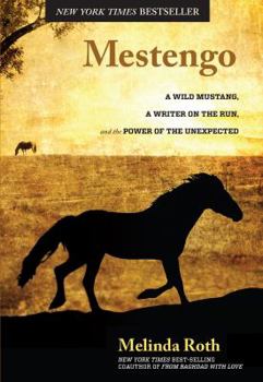 Hardcover Mestengo: A Wild Mustang, a Writer on the Run, and the Power of the Unexpected Book