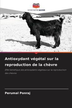 Antioxydant végétal sur la reproduction de la chèvre: Effet bénéfique des antioxydants végétaux sur la reproduction des chèvres
