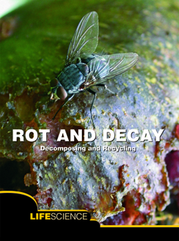 Paperback Rot and Decay: Decomposing and Recycling Book