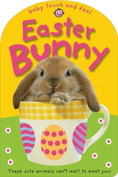 Baby Touch and Feel Easter Bunny - Book  of the Touch & Feel