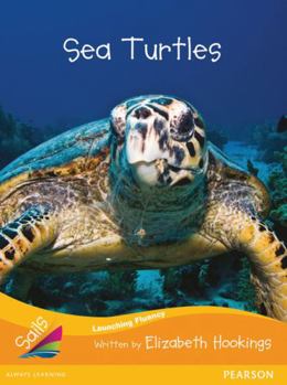 Paperback Sea Turtles (Sail Sails New Zealand) Book