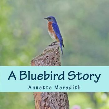 Paperback A Bluebird Story Book