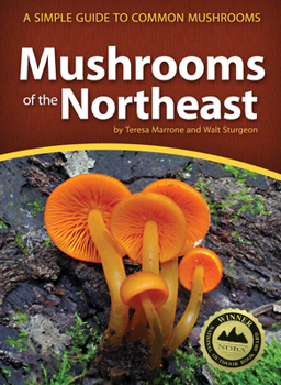 Paperback Mushrooms of the Northeast: A Simple Guide to Common Mushrooms Book