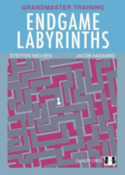 Paperback Endgame Labyrinths Book