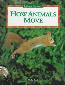 Library Binding How Animals Move Book