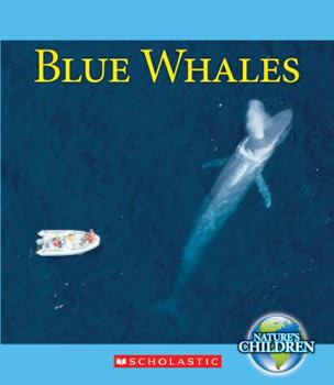 Paperback Blue Whales (Nature's Children) Book