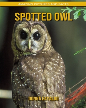 Spotted Owl: Amazing Pictures and Facts