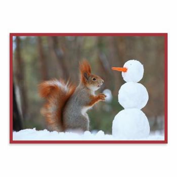 Misc. Supplies Snow Friends Holiday Half Notecards Book