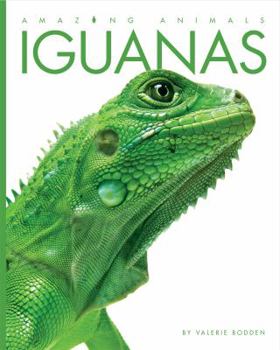 Iguanas - Book  of the Amazing Animals