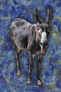 Paperback Donkey: Notebook Blank College-Ruled Lined in Van Gogh Starry Night Art Style Book