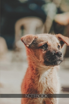 Paperback Notebook: Cute shaggy brown dog [110 pages]: Cute shaggy brown dog Book